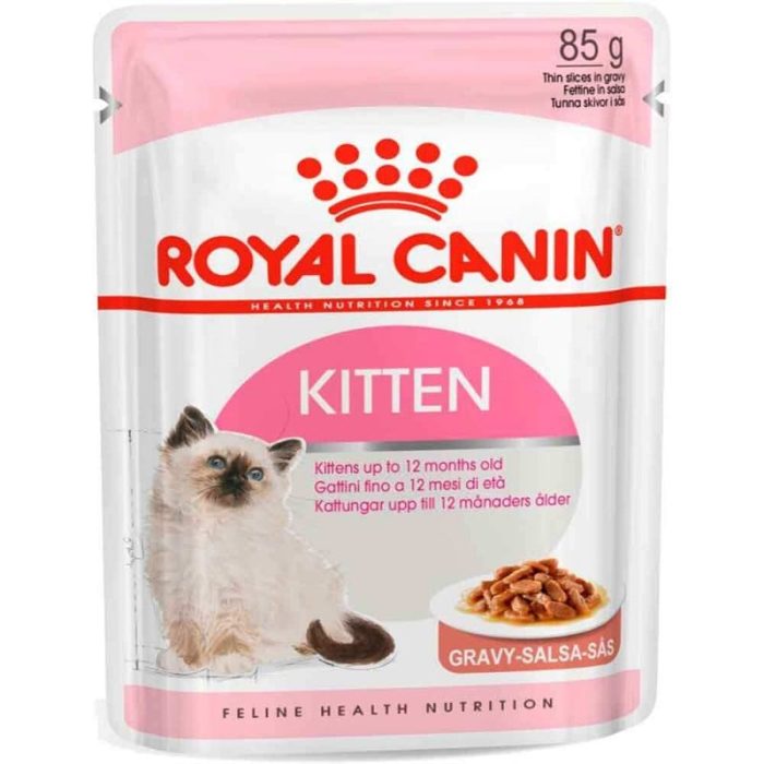 KITTEN CANIN